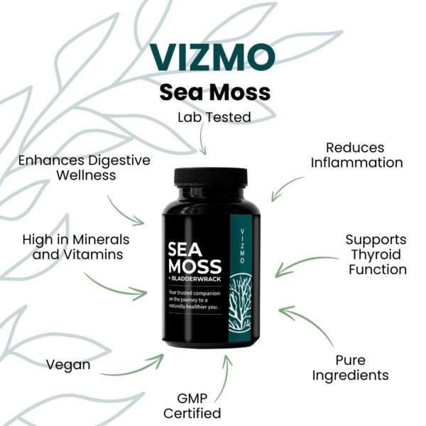 Vizmo Sea Moss Vorteile – Vegan, reich an Mineralien, GMP-zertifiziert, unterstützt Verdauung & Immunsystem