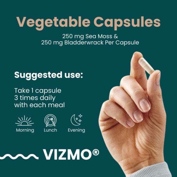 Vizmo Sea Moss Dosierung – 1 Kapsel 3× täglich mit Mahlzeiten, 500 mg vegan