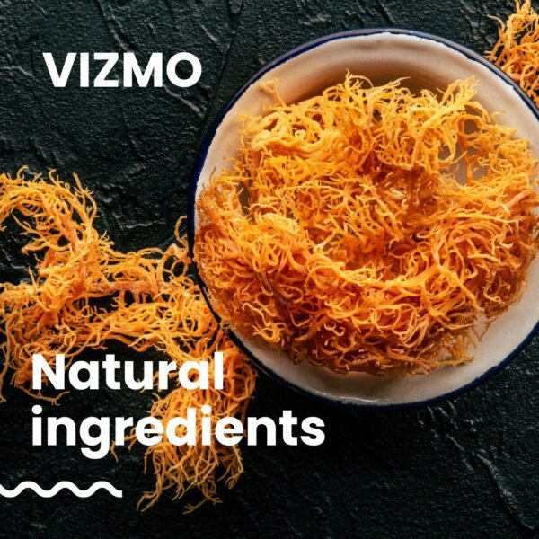 Getrocknetes Irisches Seemoos – natürliche Zutat für Vizmo Sea Moss Kapseln