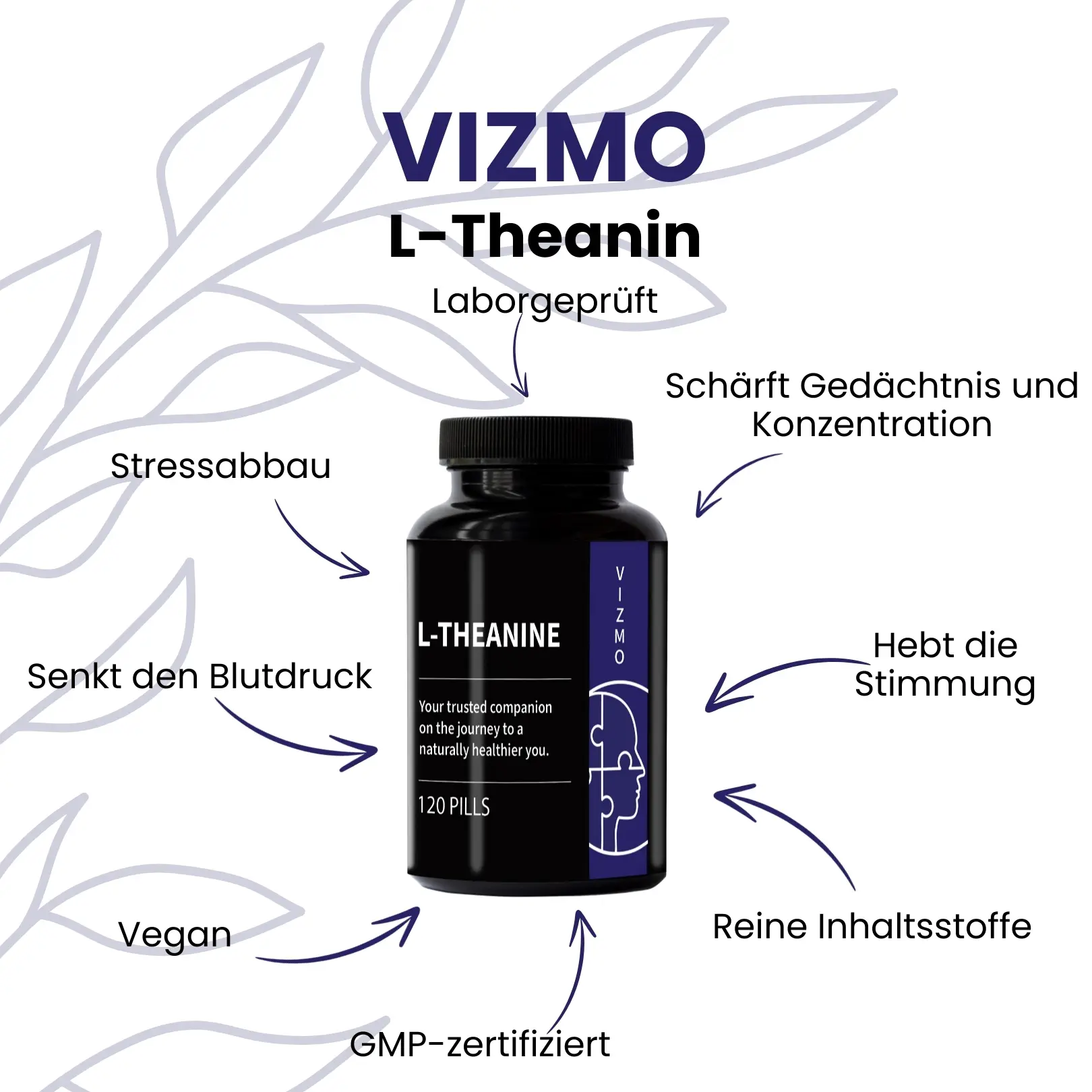 VIZMO L-Theanin Vorteile – fördert Entspannung, Fokus und ruhigen Schlaf ohne Müdigkeit